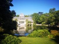 estanque retiro cesped